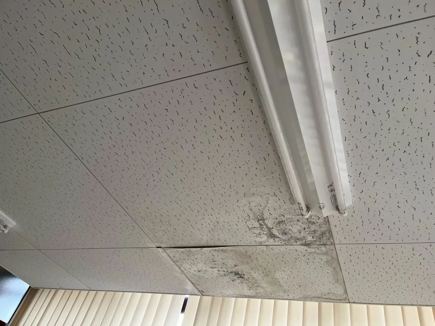 室内天井張替工事