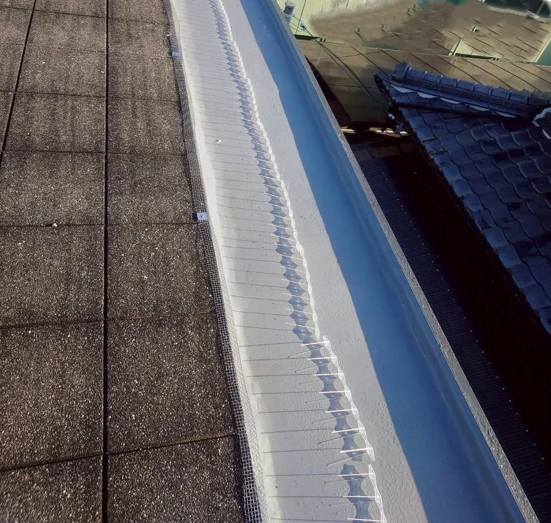 ④鳩飛来防止工事