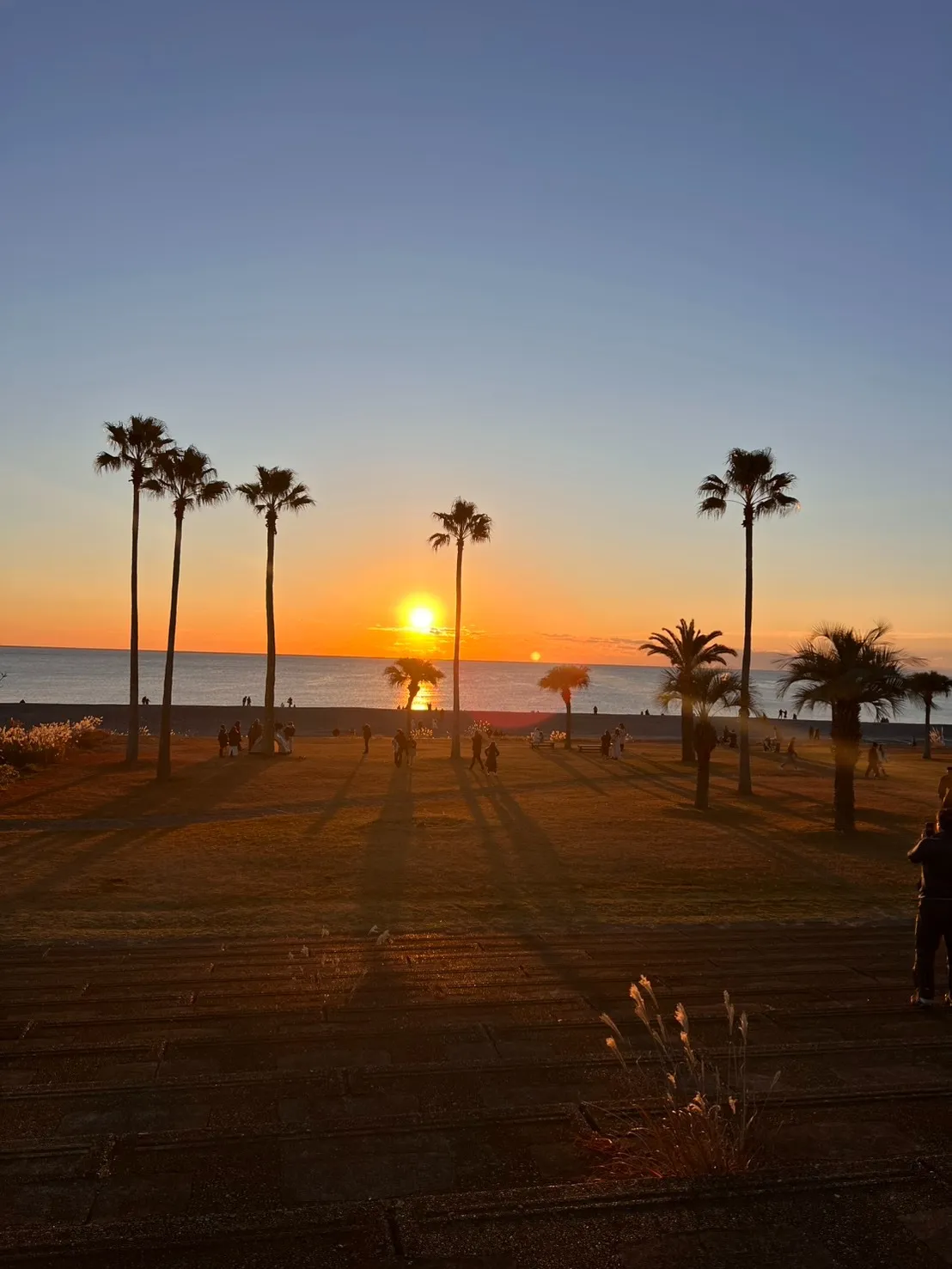 1月ももう終わり