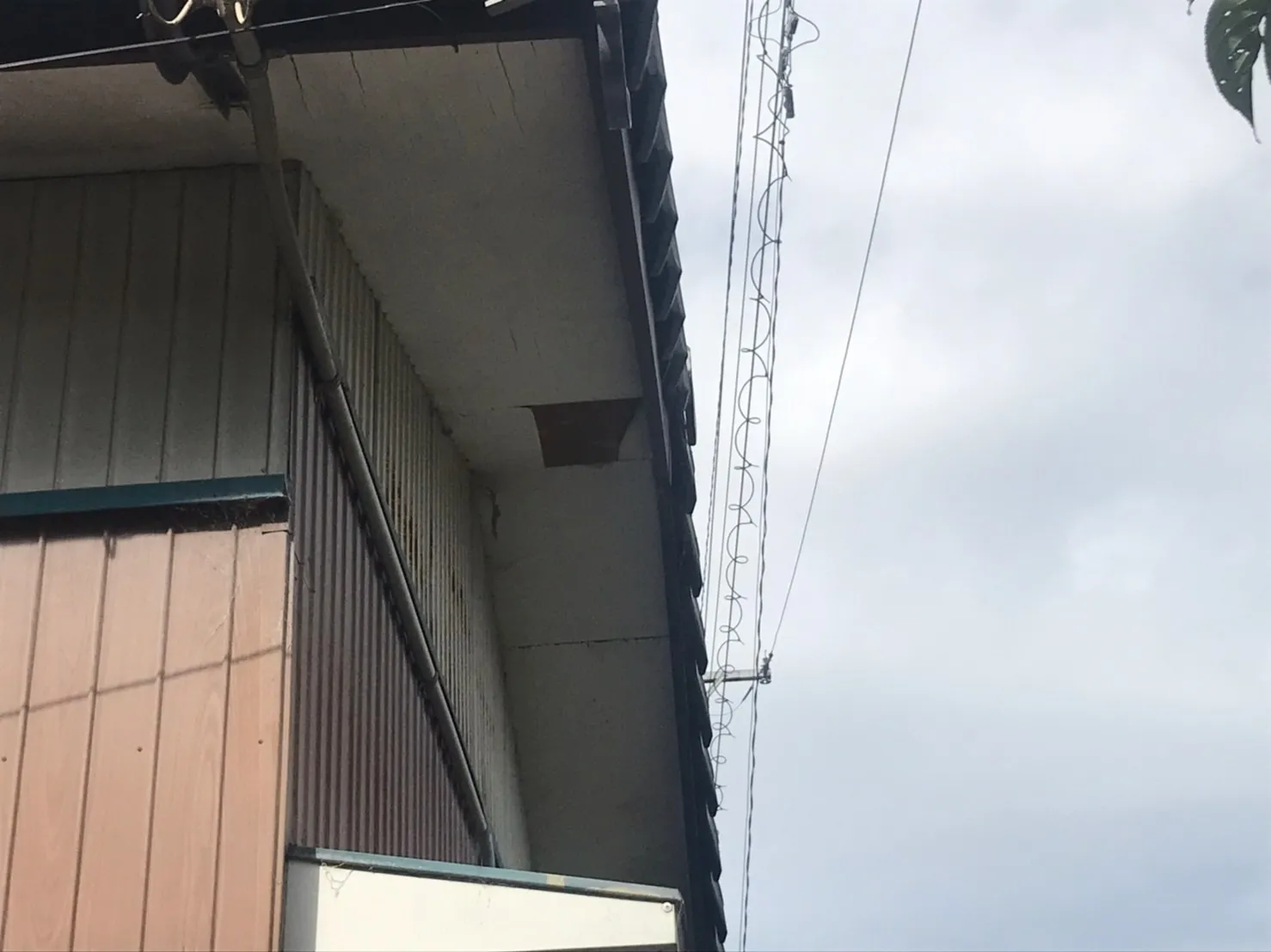 軒天修繕作業|軒天とは?