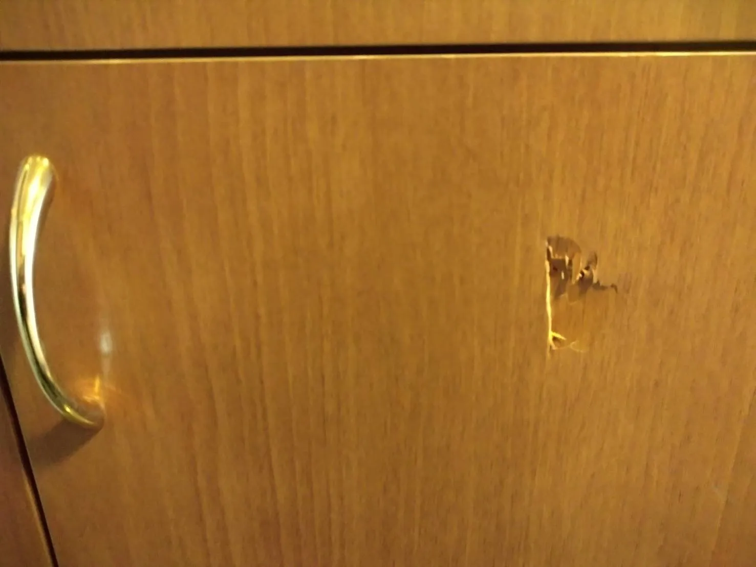 備え付け建具のへこみ・キズ補修できます|扉リペア