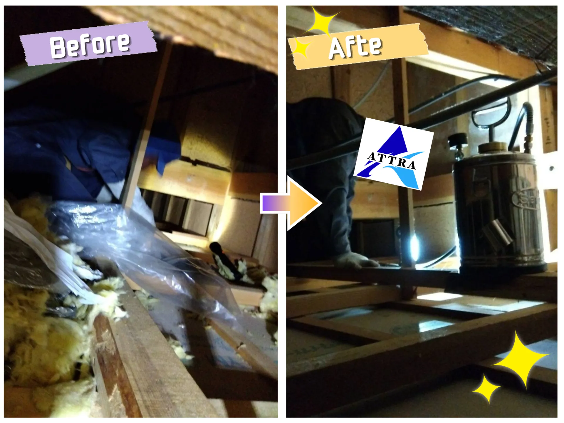 屋根裏の害獣駆除
